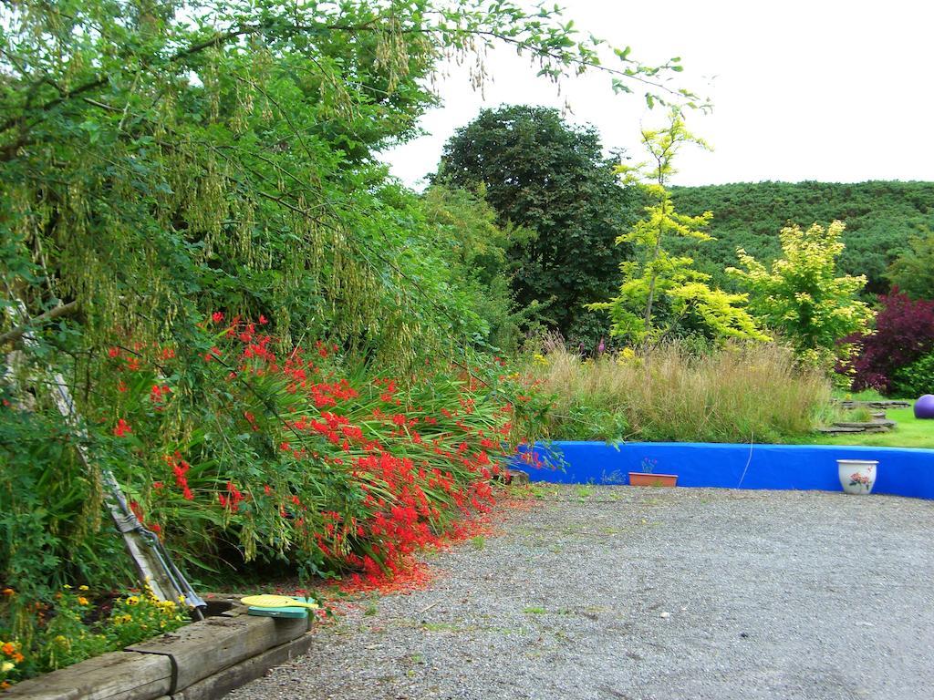 The Village Studio Apartments Moate Esterno foto