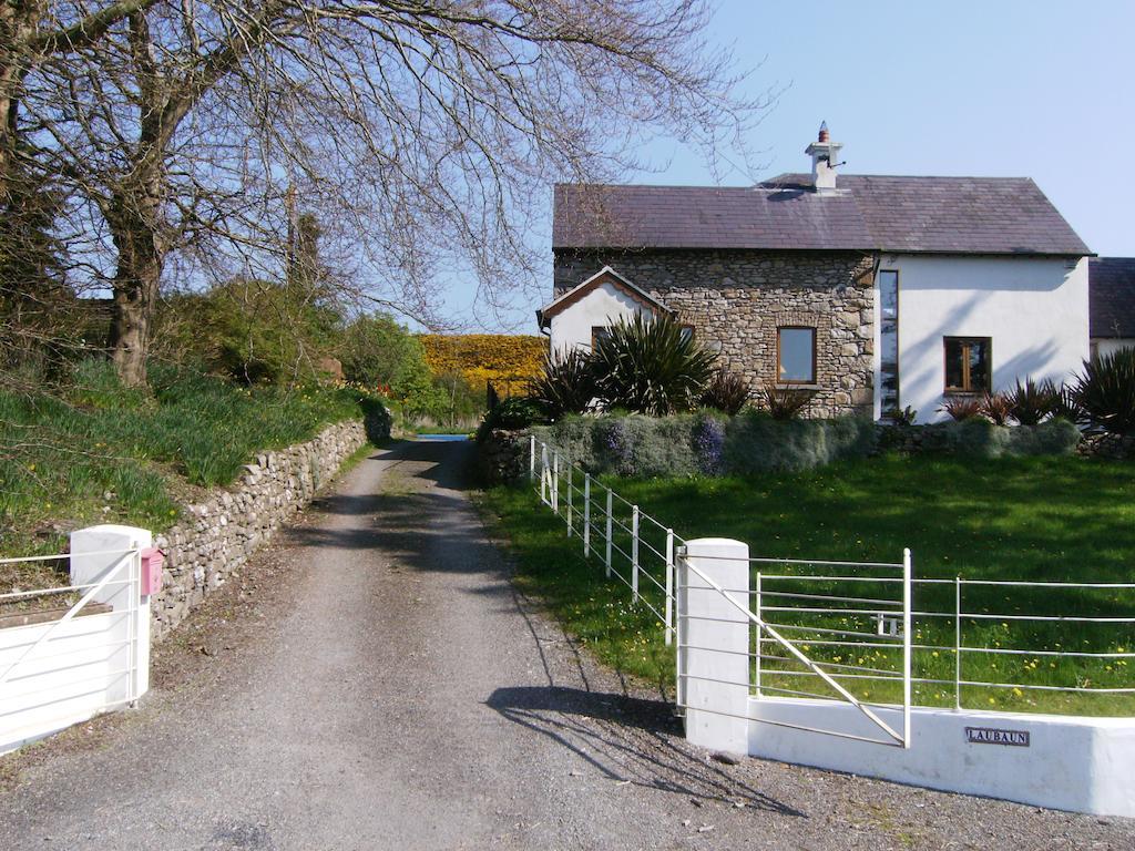 The Village Studio Apartments Moate Esterno foto
