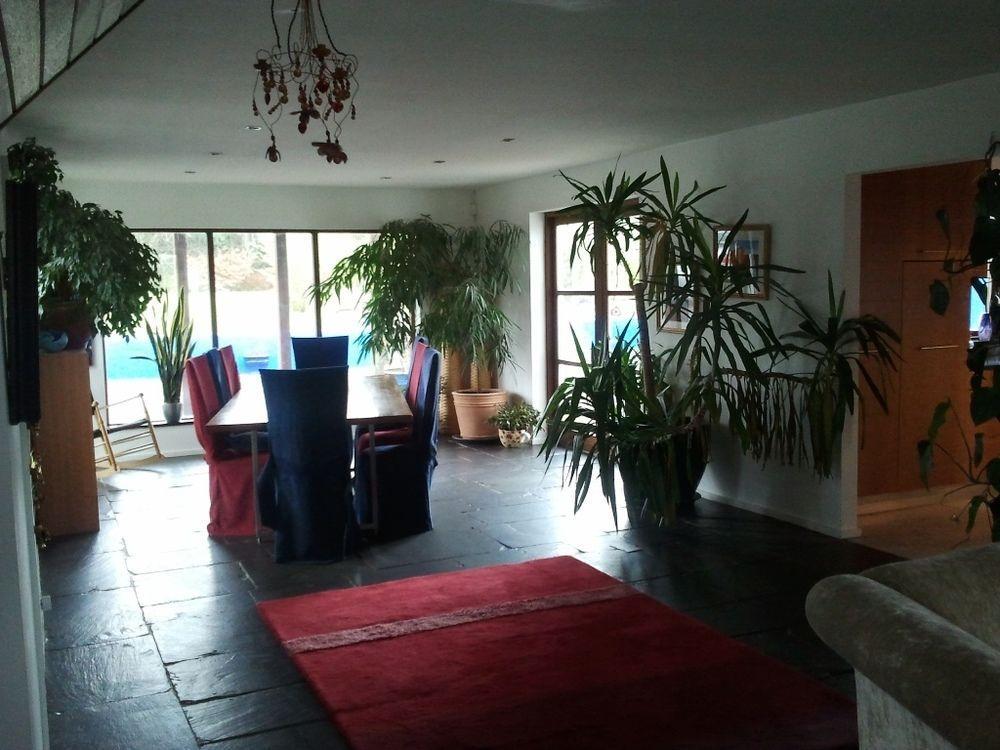 The Village Studio Apartments Moate Esterno foto