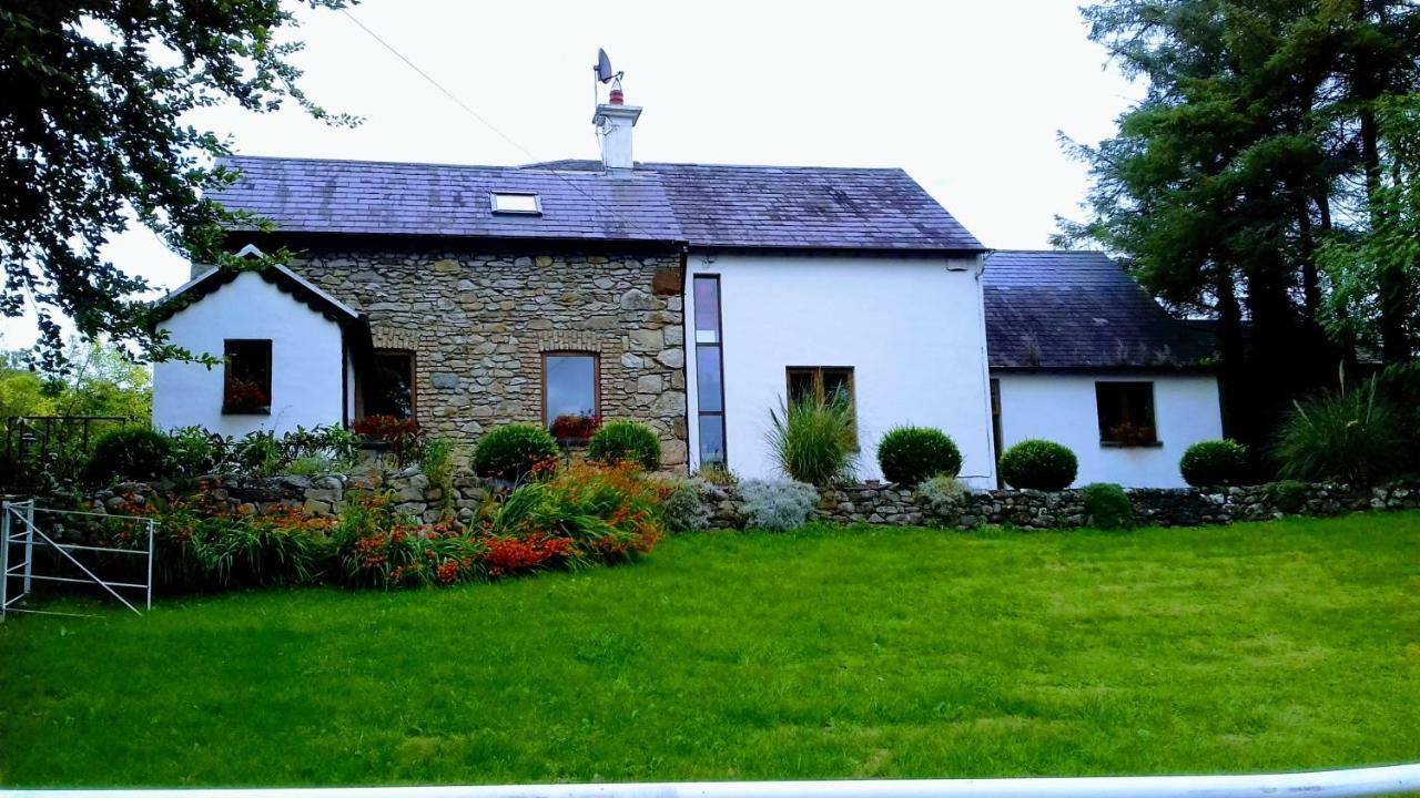 The Village Studio Apartments Moate Esterno foto