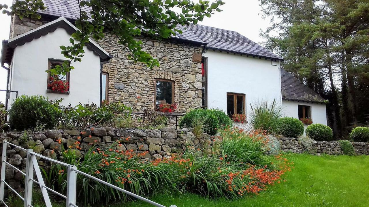 The Village Studio Apartments Moate Esterno foto