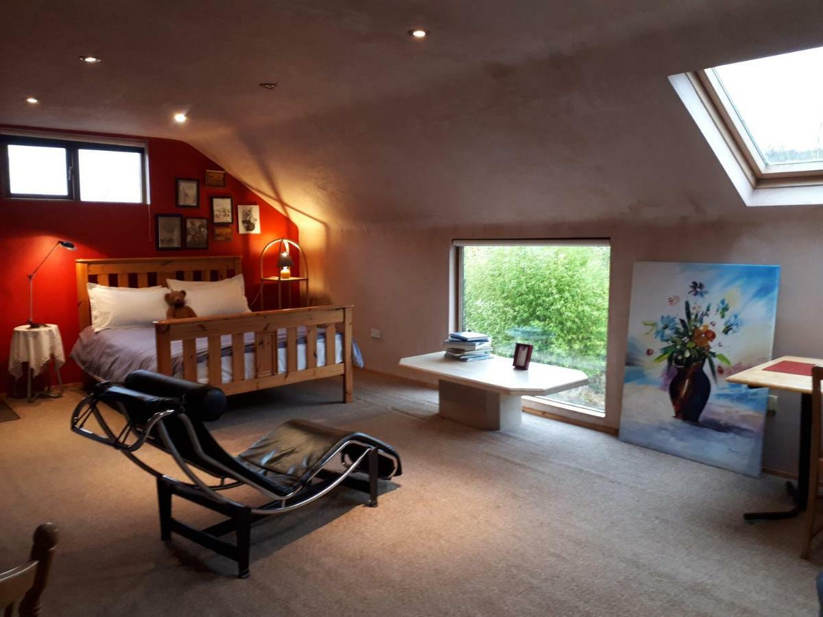 The Village Studio Apartments Moate Esterno foto